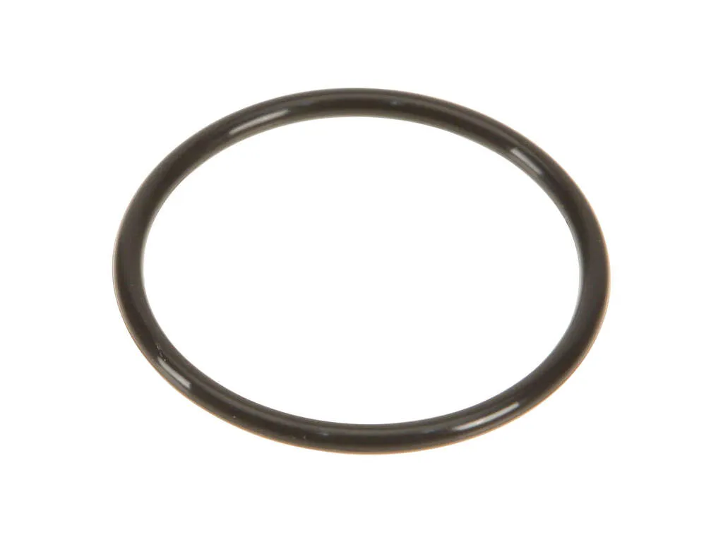 2016, 2015, 2014, 2013, 2012, 2011, 2010, 2009, 2008, 2007, 2006 Chevrolet Express 2500 2500 Engine Coolant Pipe O-Ring