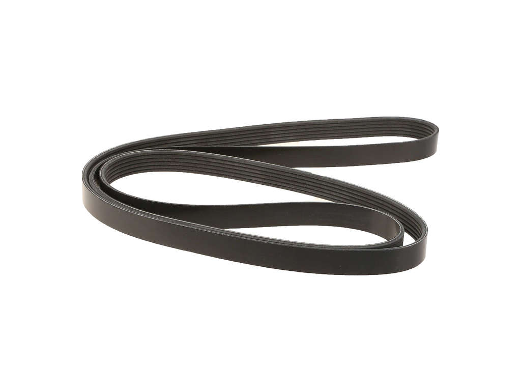 2004 Ford Focus Accessory Drive Belt