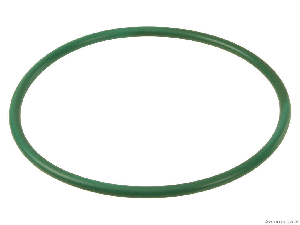 Fuel Pump Tank Seal