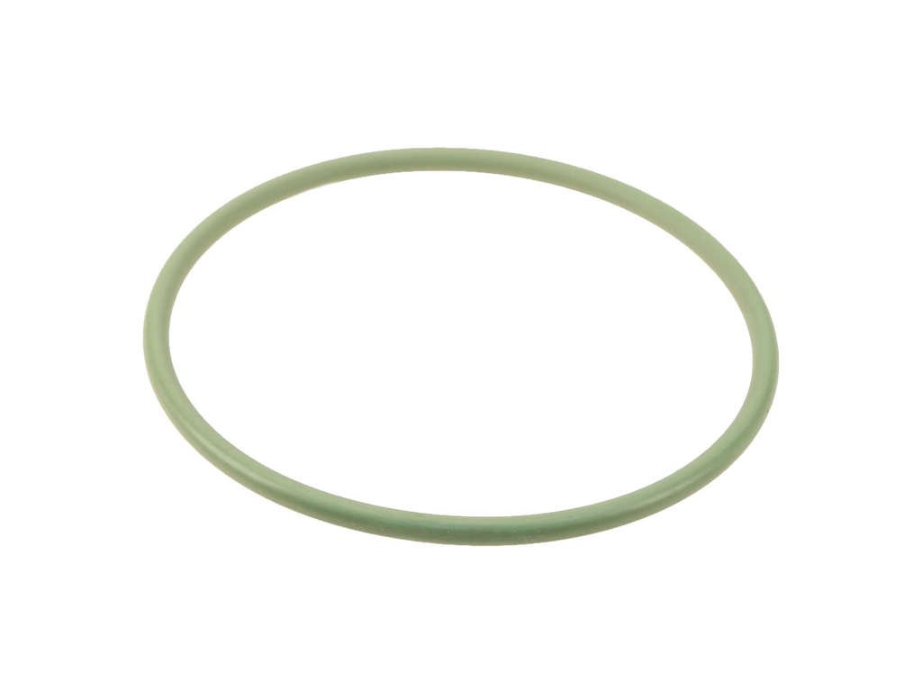 Fuel Pump Tank Seal