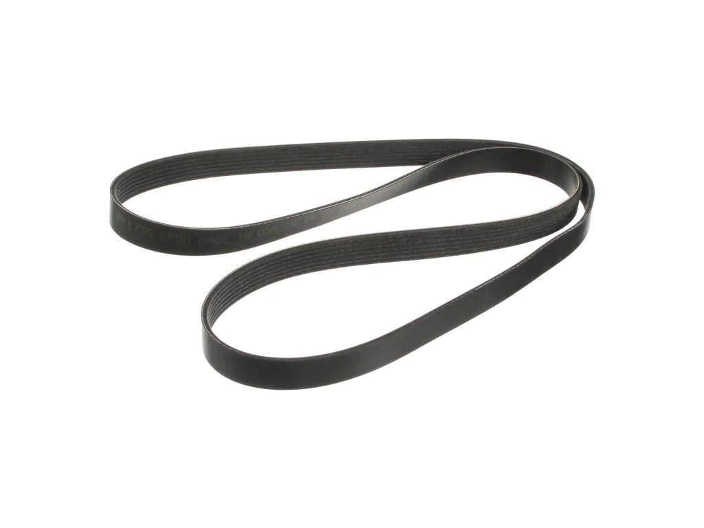 Accessory Drive Belt