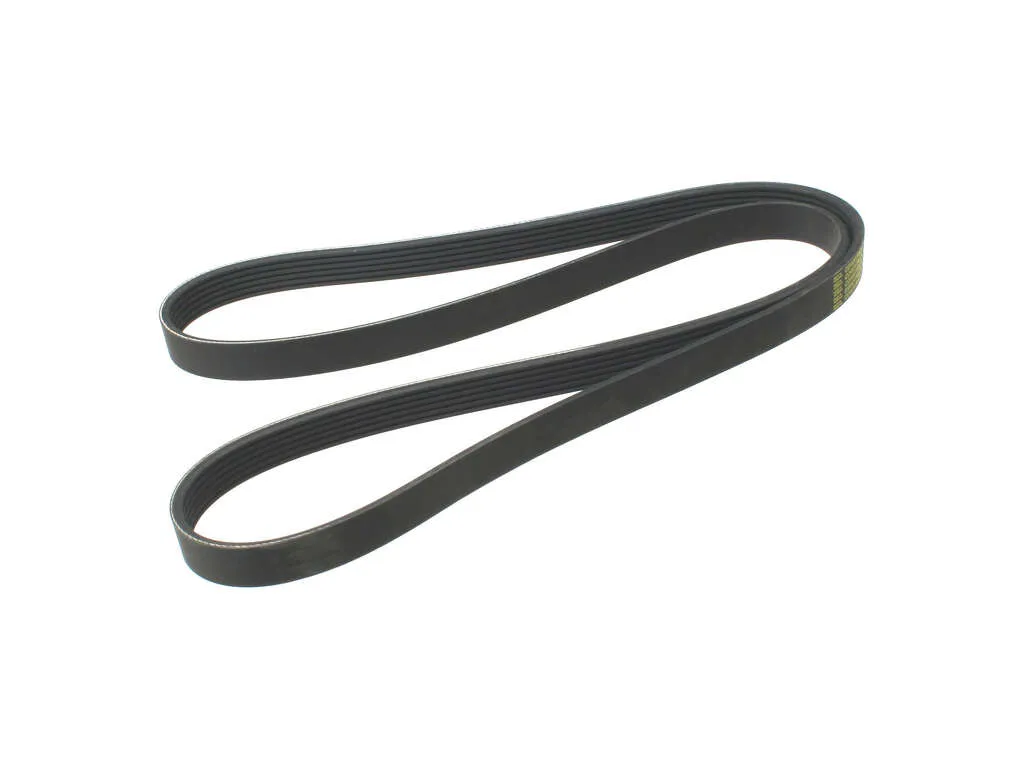 2006, 2005, 2004 BMW X5 Accessory Drive Belt