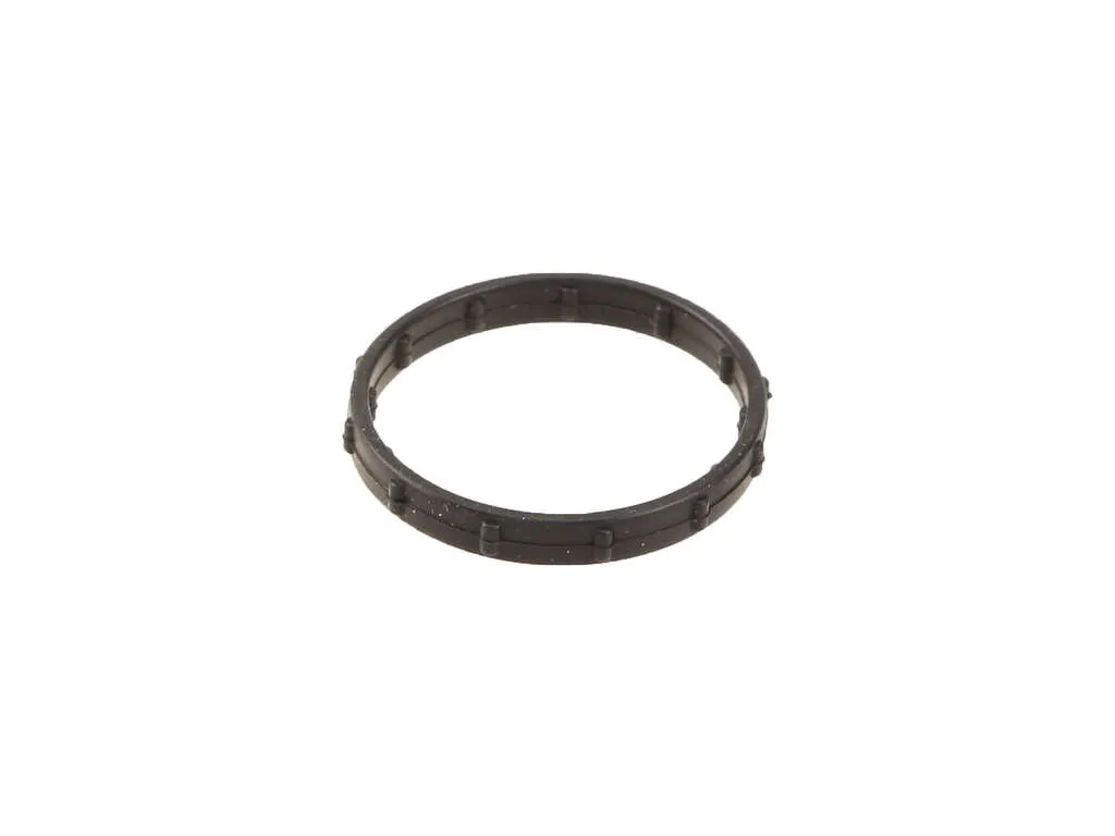 2017, 2016, 2015, 2014, 2013, 2012, 2011, 2010 Audi S5 Engine Coolant Pipe O-Ring