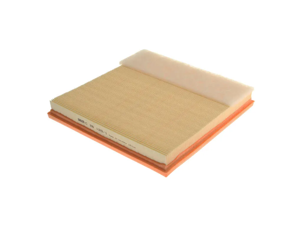 2019, 2018, 2017, 2016, 2015, 2014, 2013, 2012, 2011, 2010, 2009, 2008 BMW X6 Air Filter