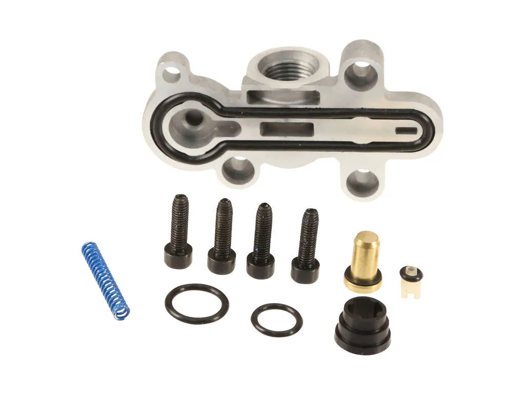 2005, 2004, 2003 Ford Excursion Fuel Injection Pressure Regulator
