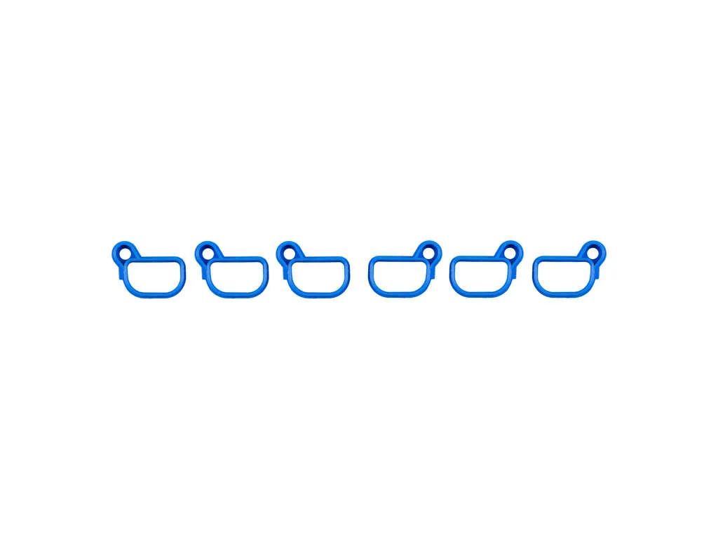 2000, 1999, 1998 BMW 528i Engine Intake Manifold Gasket Set