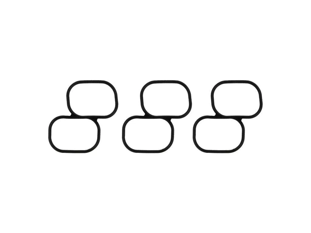 2009, 2008, 2007, 2006, 2005, 2004, 2003 Toyota 4Runner Fuel Injection Plenum Gasket