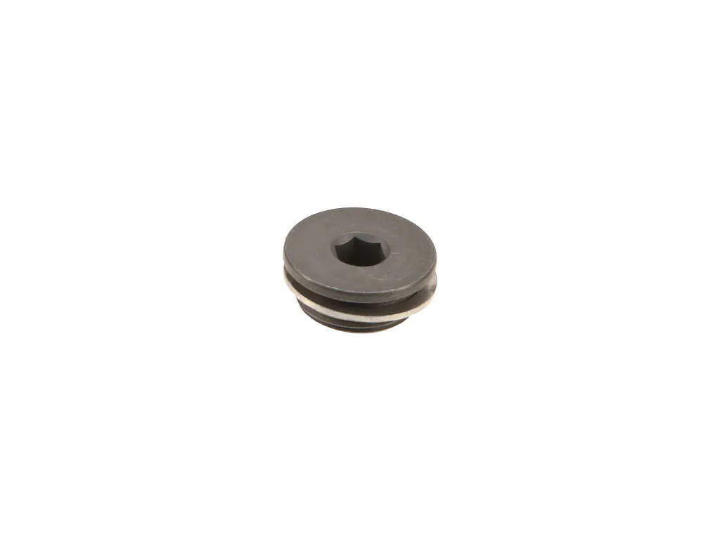 2000, 1999, 1998, 1997 BMW 528i Engine Timing Cover Plug