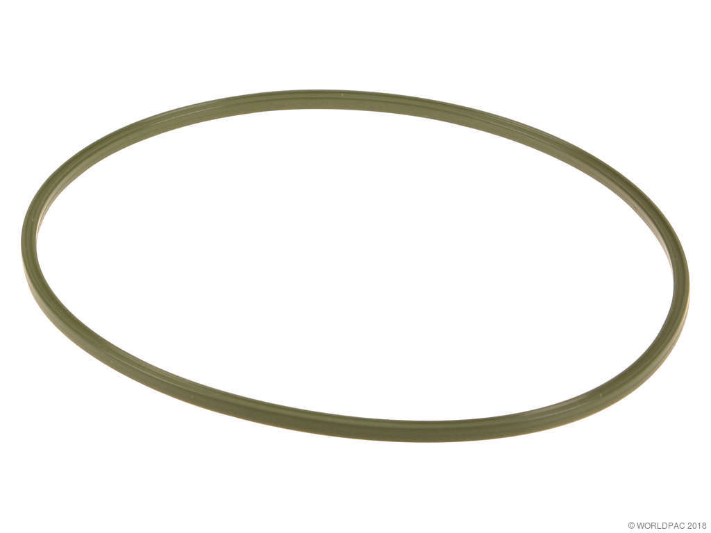 2004, 2003 Lincoln Navigator Fuel Pump Tank Seal