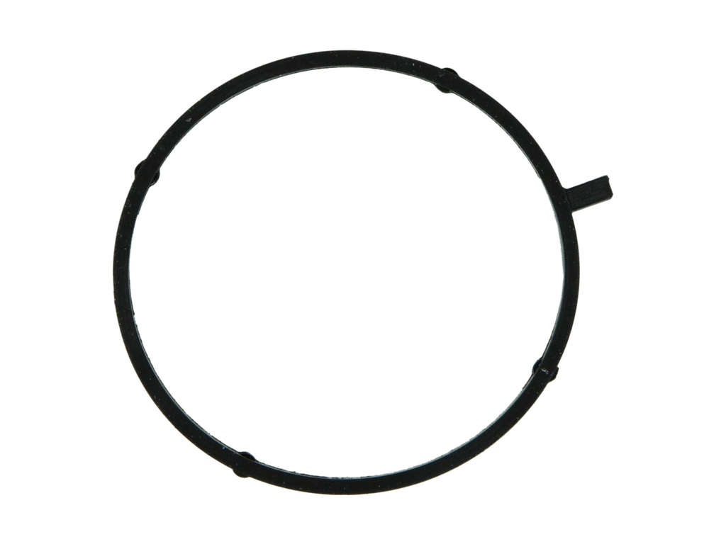 Fuel Injection Throttle Body Mounting Gasket