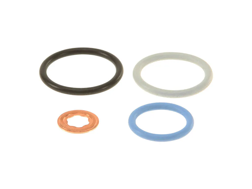 2005, 2004, 2003 Ford Excursion Club Wagon Fuel Injector O-Ring Kit
