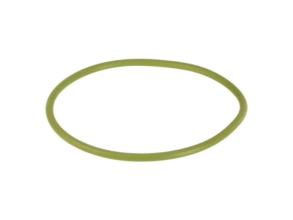 2013, 2012, 2011, 2010, 2009, 2008 BMW M3 Series M Fuel Tank Sending Unit Gasket