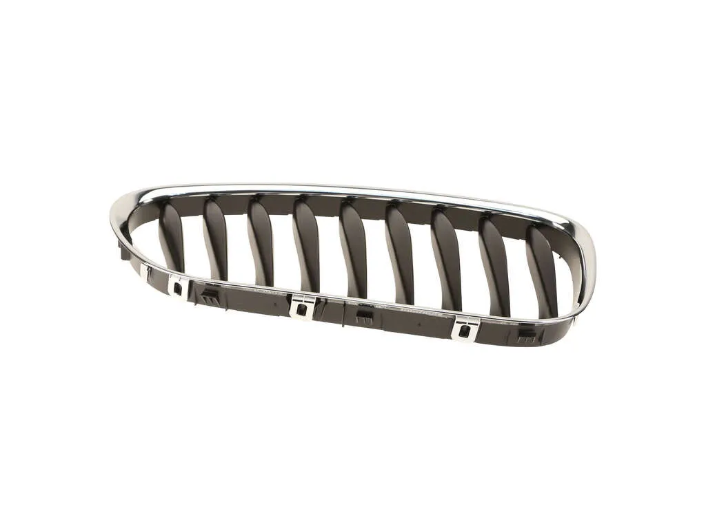 2008, 2007, 2006, 2005, 2004, 2003 BMW Z4 Grille