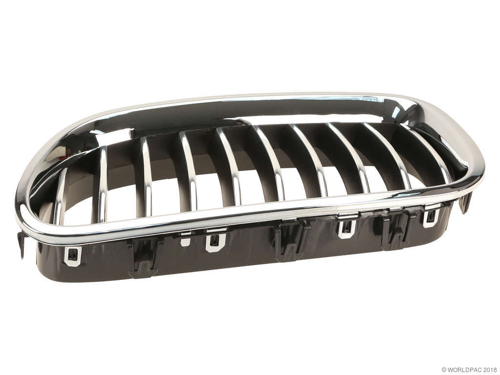 2016, 2015, 2014 BMW 528i Grille Insert