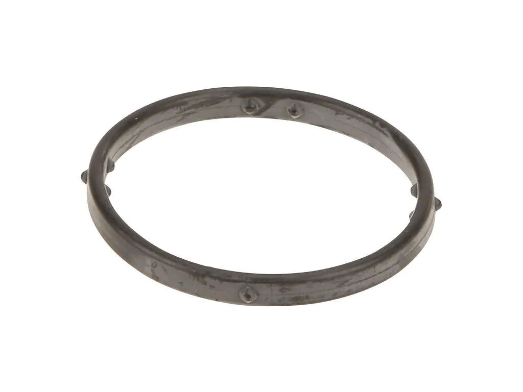 2010, 2009, 2008, 2007 Audi Q7 Engine Coolant Outlet Gasket