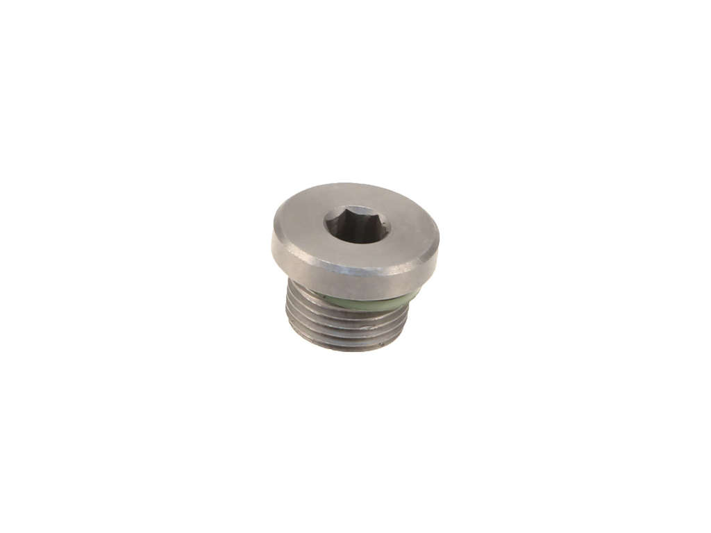 2011, 2010, 2009, 2008, 2007, 2006, 2005, 2004, 2003, 2002 Audi S6 Quattro Differential Drain Plug