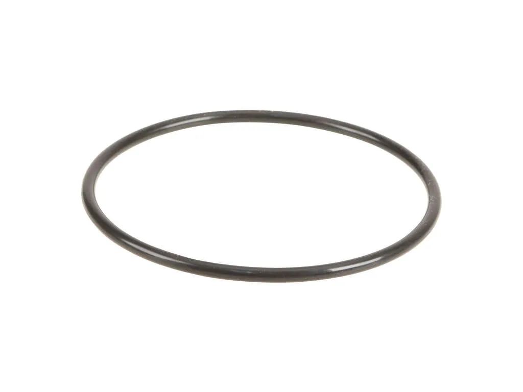 2006, 2005, 2004, 2003, 2002, 2001 Kia Optima Fuel Pump Tank Seal