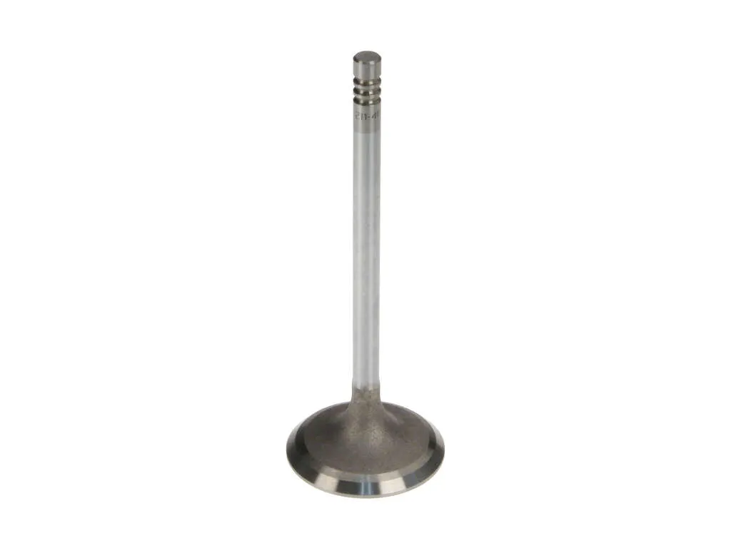 2007, 2006, 2005, 2004, 2003, 2002, 2001, 2000 Ford Taurus Engine Intake Valve