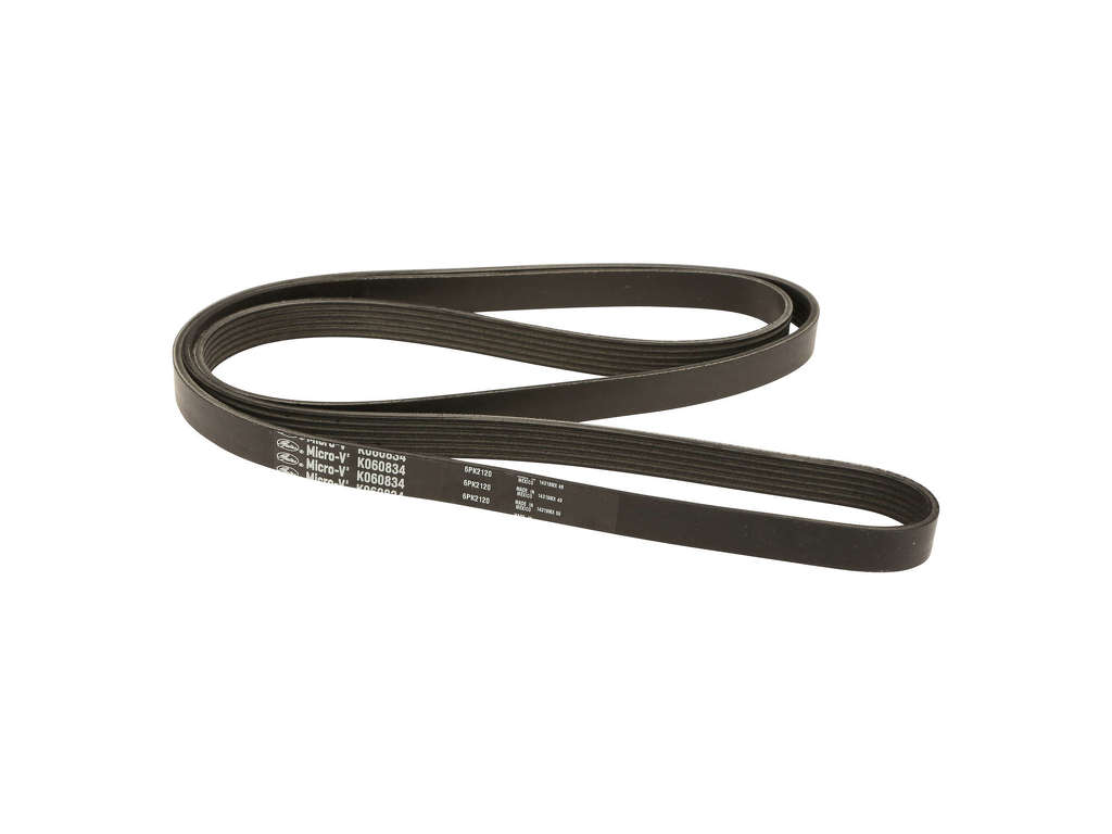 2004, 2003, 2002, 2001, 2000 Ford Focus Accessory Drive Belt