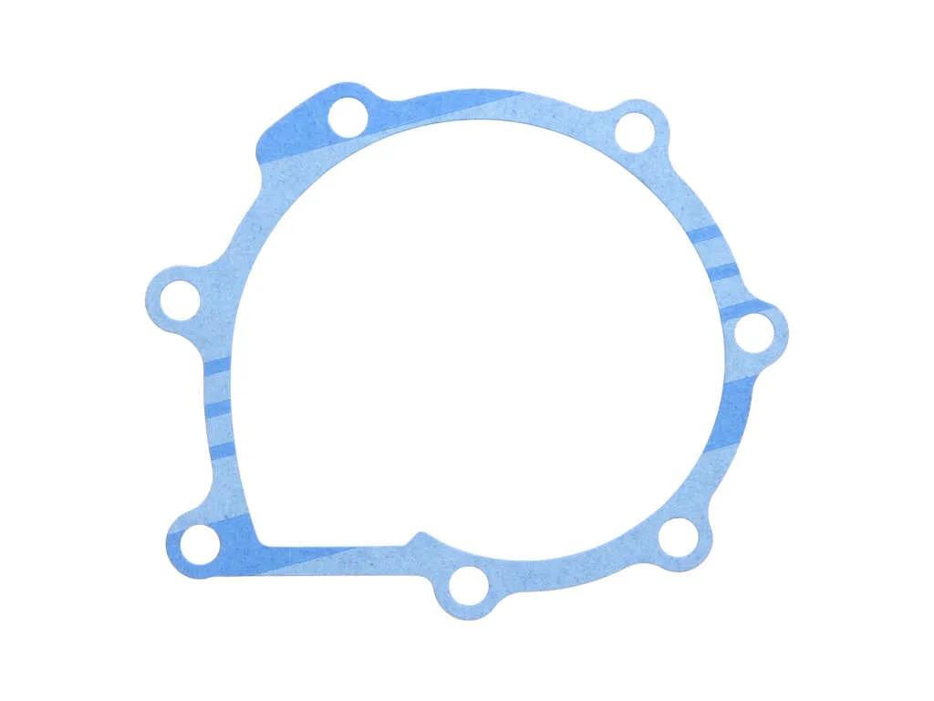 2003, 2002, 2001, 2000, 1999 Saab 9-3 Engine Water Pump Gasket