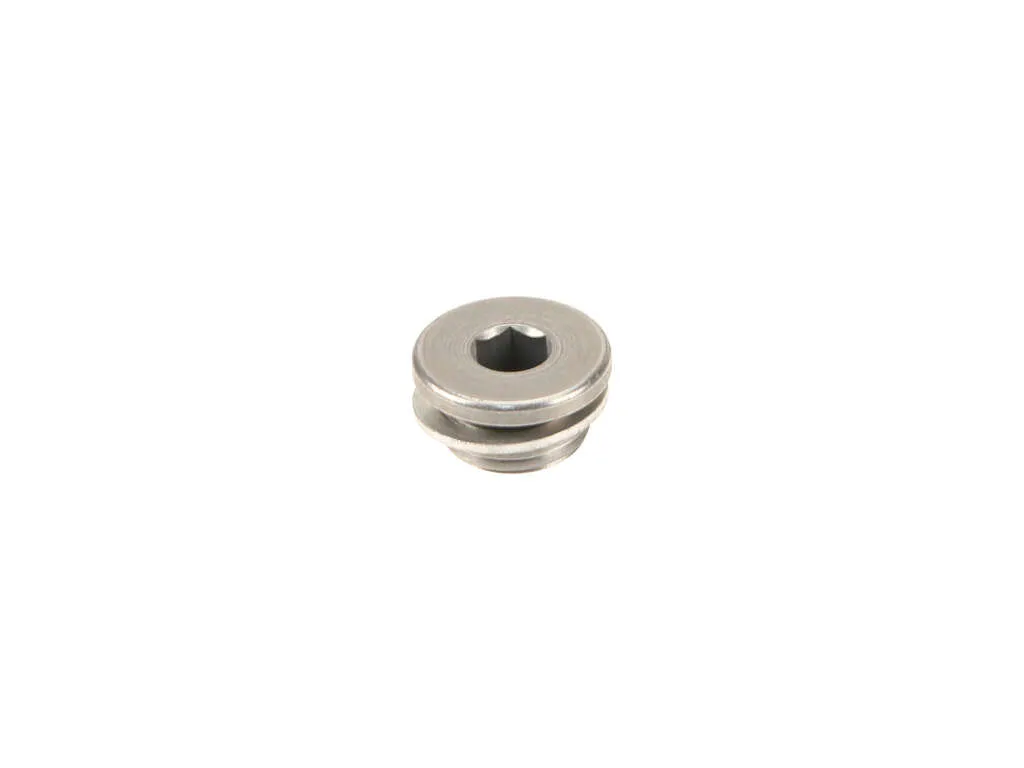 2020, 2019, 2018, 2017, 2016 BMW M2 Series M Engine Cylinder Head Plug