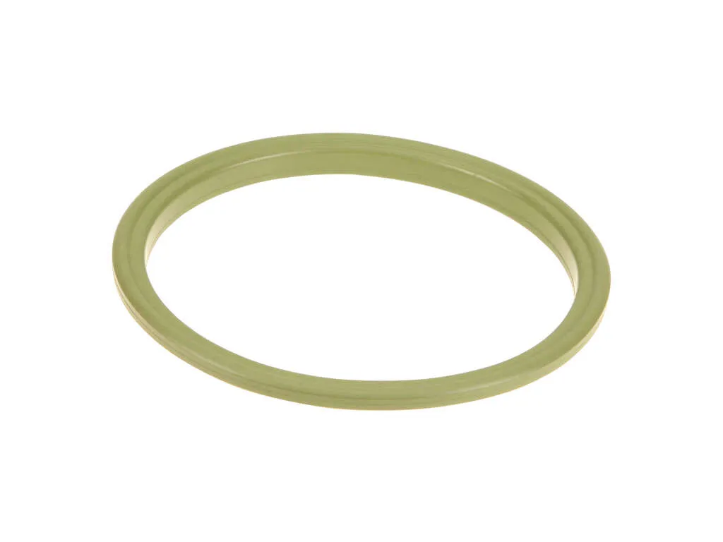 2007, 2006, 2005, 2004 Dodge Caravan & Country Fuel Pump Tank Seal
