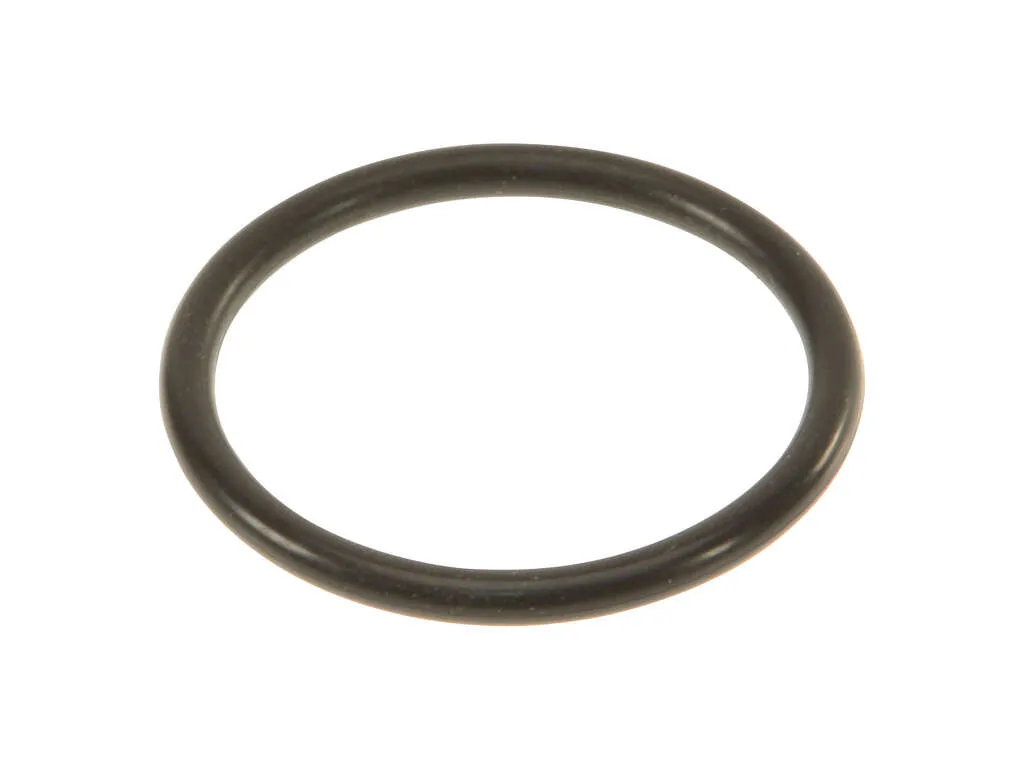 2013, 2012, 2011, 2010, 2009, 2008 BMW M3 Engine Coolant Pipe O-Ring