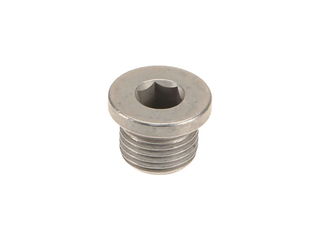 2010, 2009 Porsche Cayenne Engine Oil Drain Plug