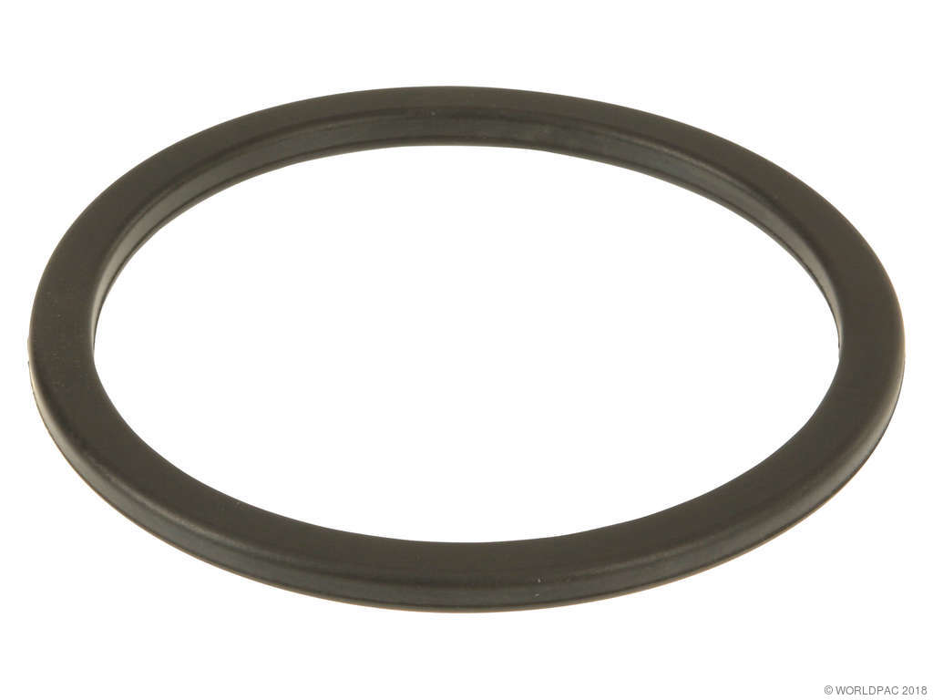 2000, 1999, 1998 Lexus GS400 Fuel Pump Tank Seal