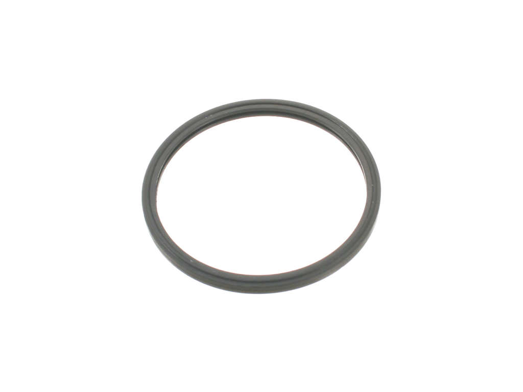 2017, 2016, 2015, 2014, 2013, 2012, 2011, 2010 Chevrolet Equinox Engine Coolant Thermostat Seal