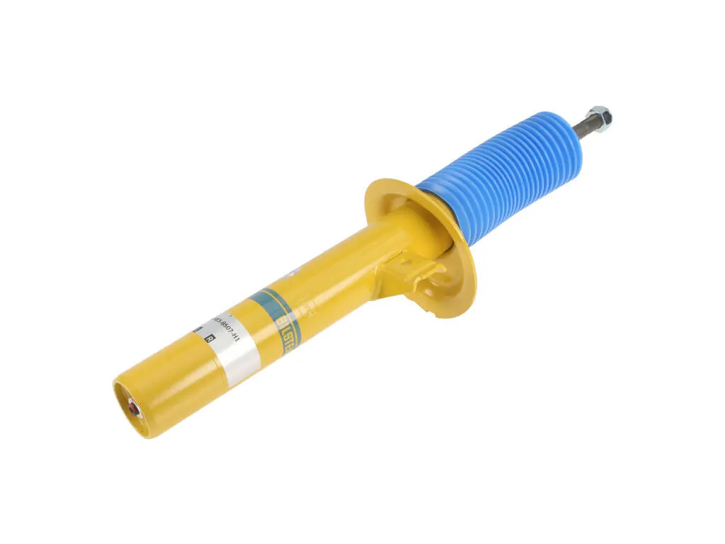 2005, 2004, 2003, 2002, 2001 BMW 320i Suspension Strut Assembly