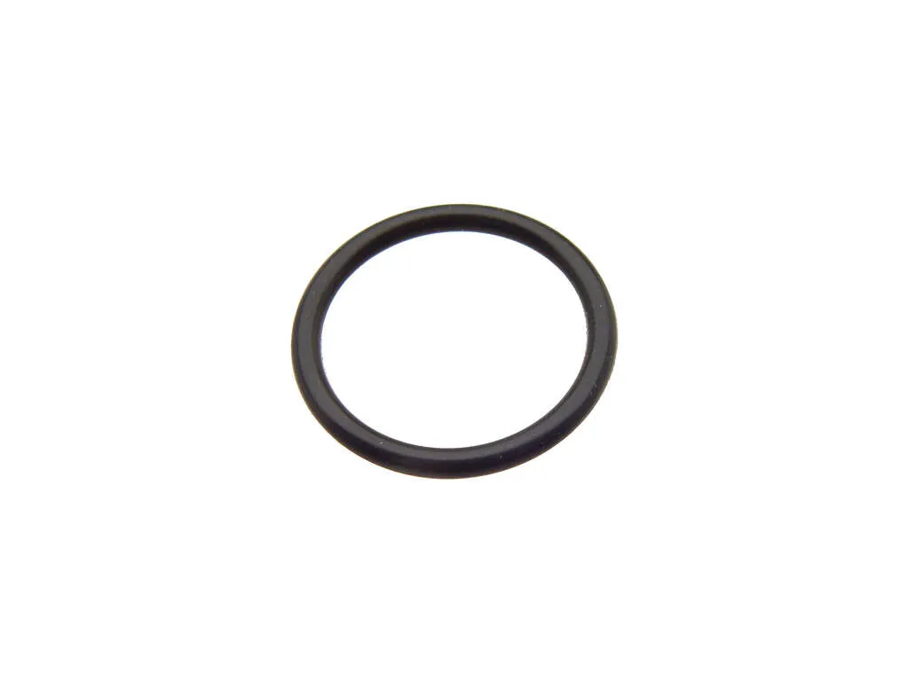 2021, 2020, 2019, 2018, 2017, 2016, 2015, 2014, 2013, 2012, 2011, 2010, 2009 Nissan GT-R Engine Timing Cover O-Ring
