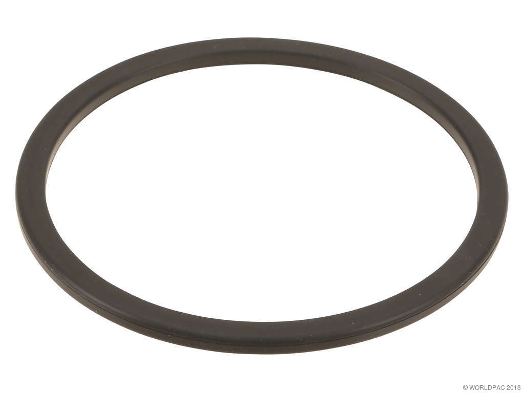 Fuel Pump Tank Seal