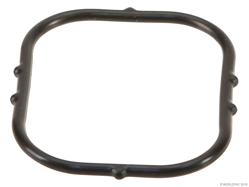 1997, 1996 Lexus LX450 Cruiser Engine Timing Cover Gasket