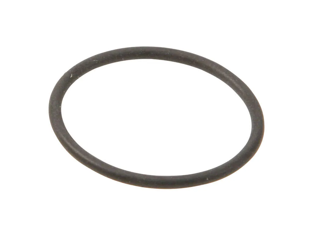 2017, 2016, 2015, 2014, 2013, 2012, 2011 BMW X3 Engine Variable Valve Timing (VVT) Solenoid Gasket