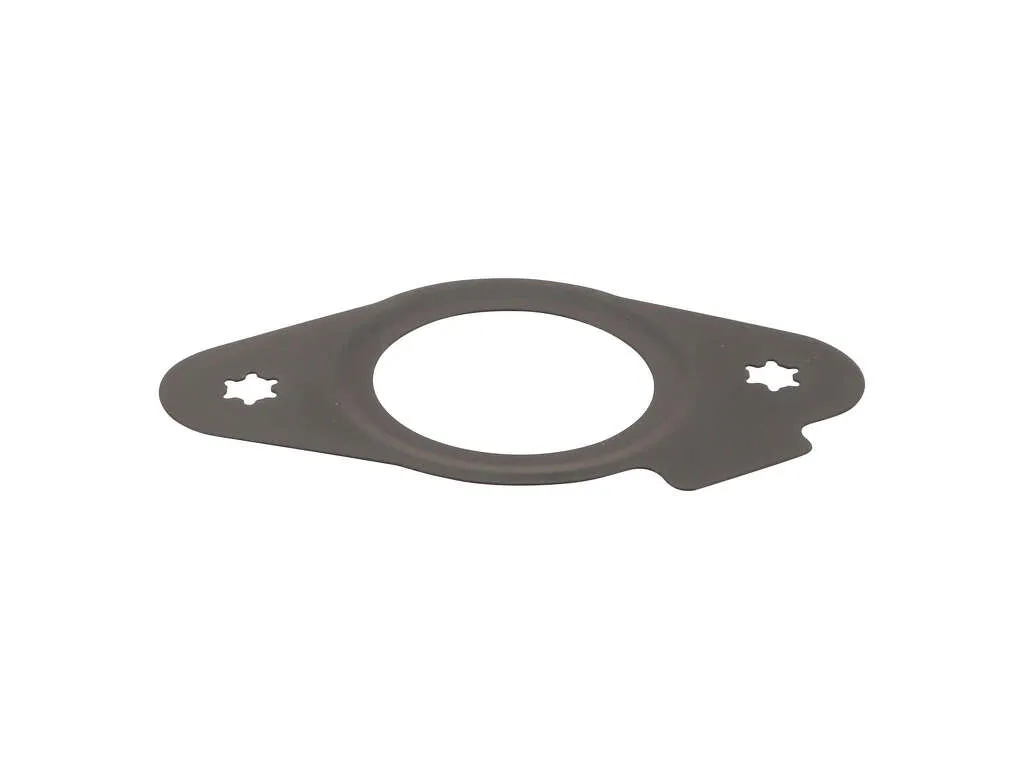 2019, 2018, 2017, 2016, 2015, 2014, 2013, 2012, 2011, 2010, 2009 Chevrolet Traverse Fuel Pump Gasket
