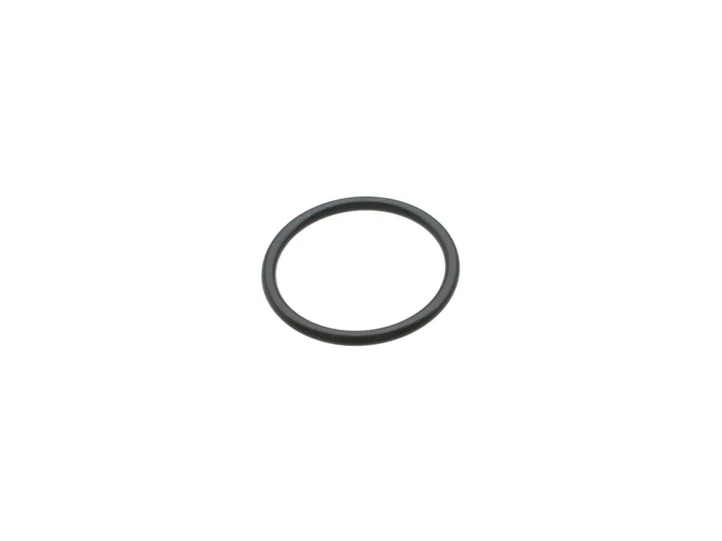 1997, 1996, 1995, 1994, 1993 Isuzu Rodeo Engine Coolant Outlet Gasket