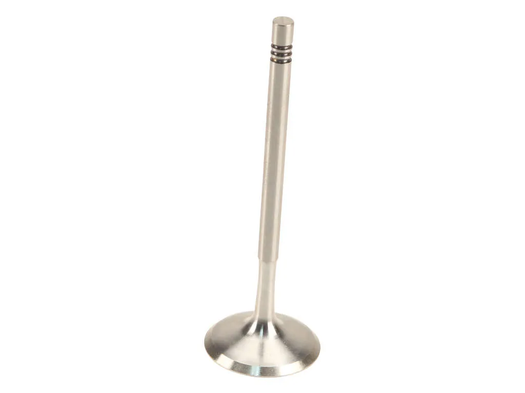 2013, 2012, 2011, 2010 BMW X5 Engine Intake Valve