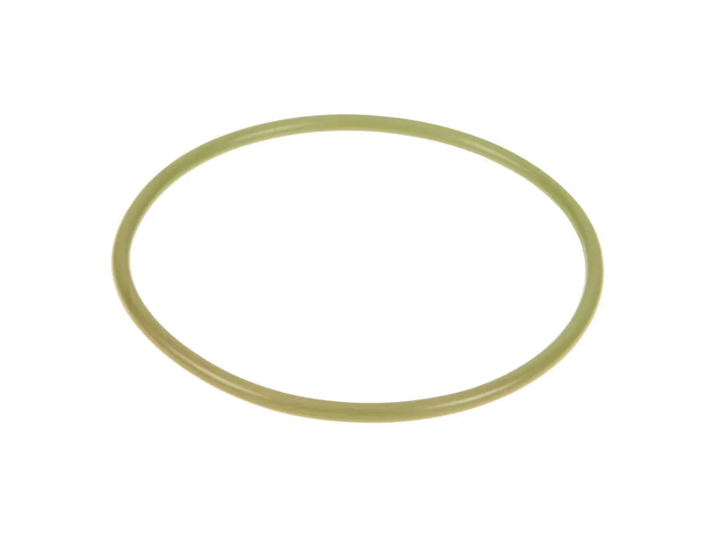 2008, 2007, 2006, 2005 Ford Escape Fuel Pump Tank Seal