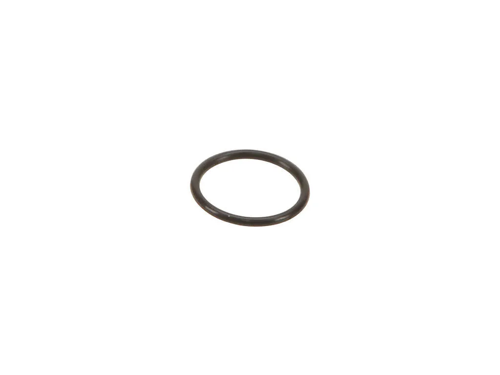 2015, 2014, 2013, 2012, 2011 Chevrolet Volt Engine Oil Filter Adapter Seal