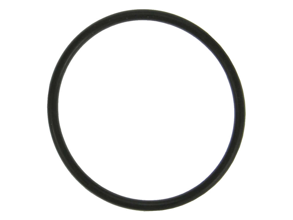 Engine Coolant Thermostat Seal