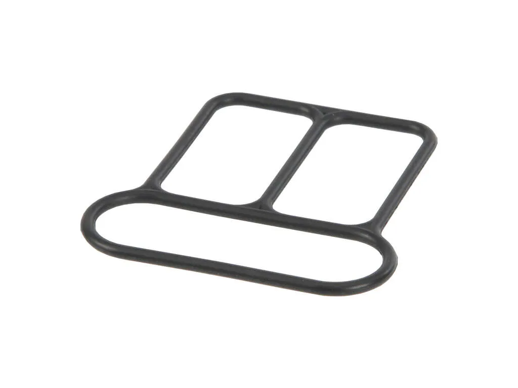 Fuel Injection Idle Air Control Valve Gasket