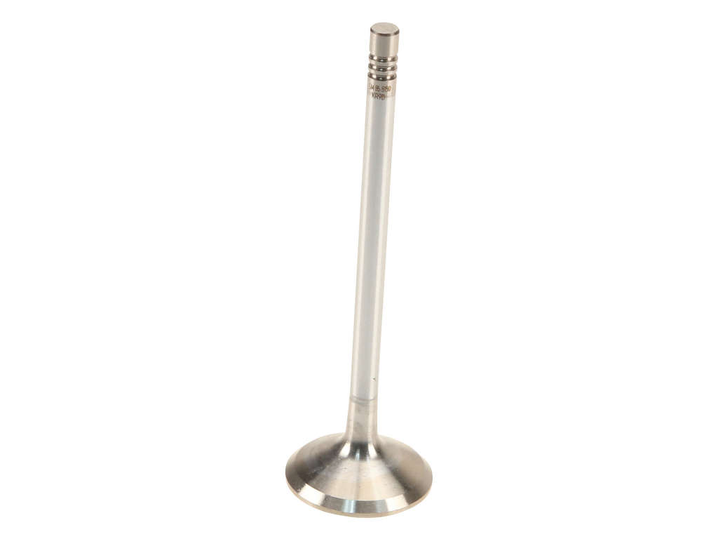2006, 2005, 2004, 2003, 2002, 2001, 2000, 1999 Volvo S80 Engine Intake Valve
