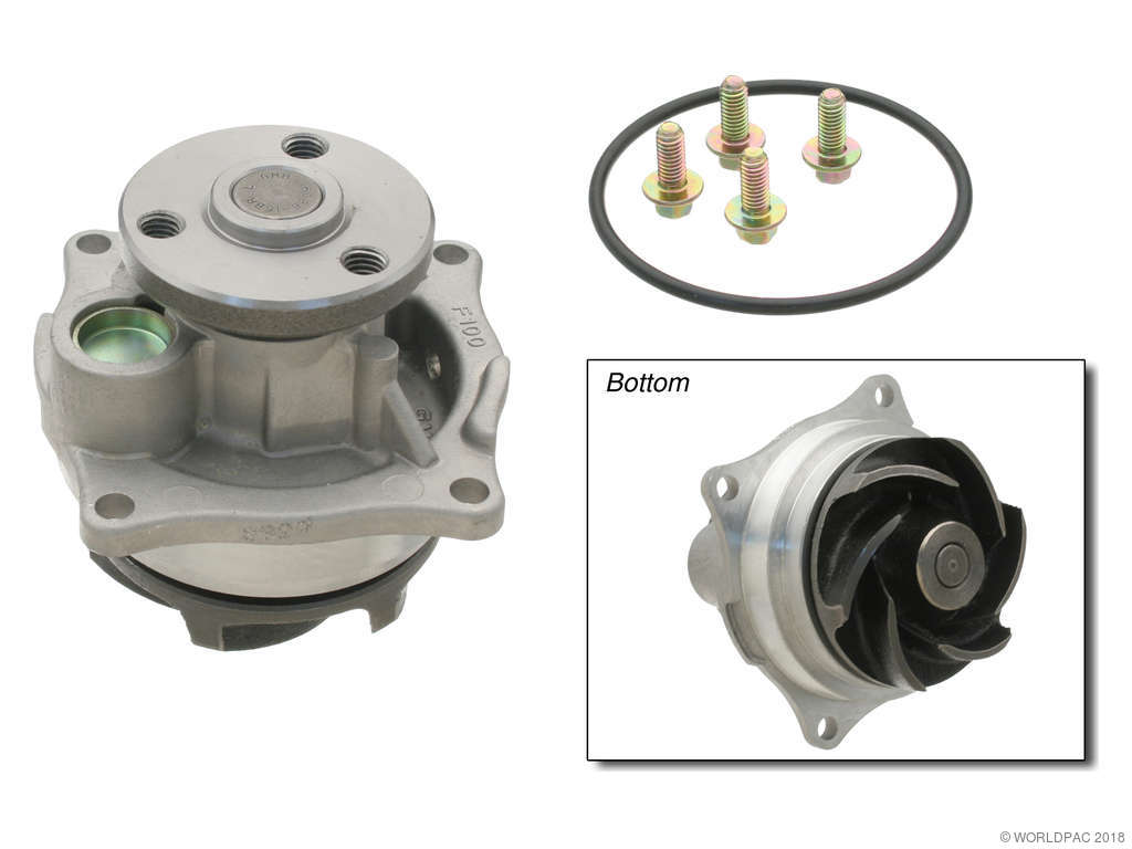 Focus St Water Pump Replacement