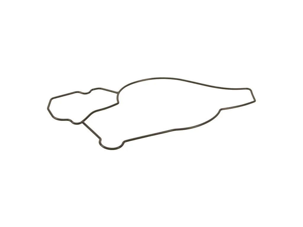 1994 Ford F59 Econoline Engine Water Pump Housing Gasket