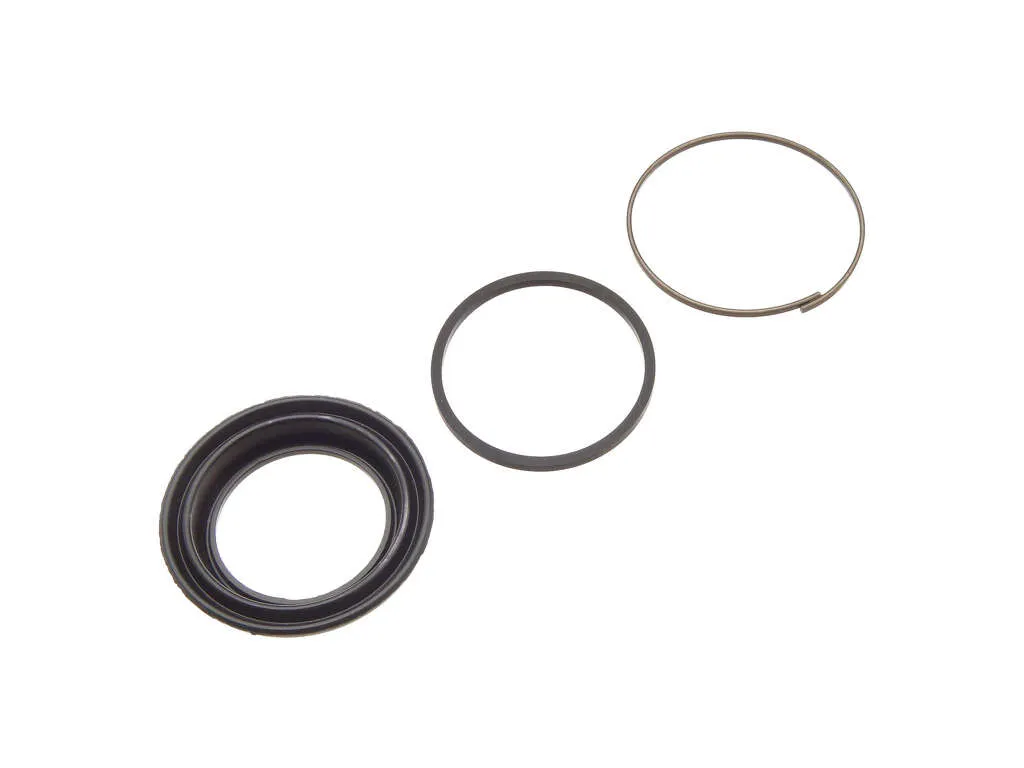1980, 1979, 1978 Audi 5000 Disc Brake Caliper Repair Kit