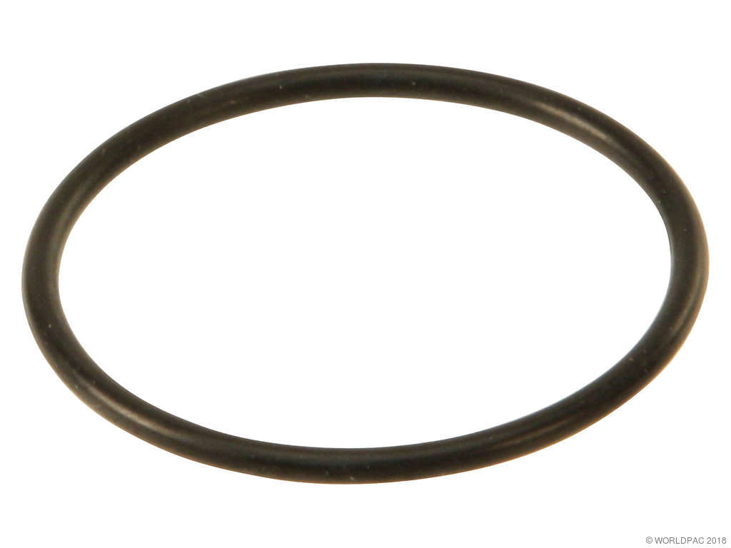 Fuel Pump O-Ring