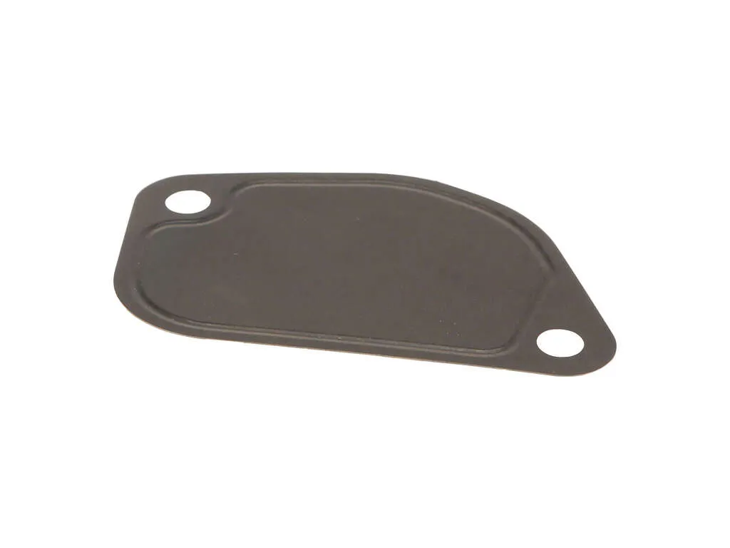 2008, 2007, 2006, 2005 Honda Pilot Fuel Injection Plenum Gasket