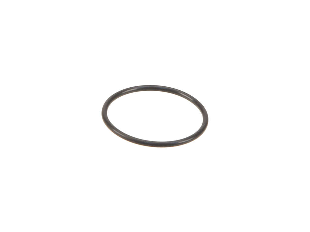 Fuel Pump Gasket