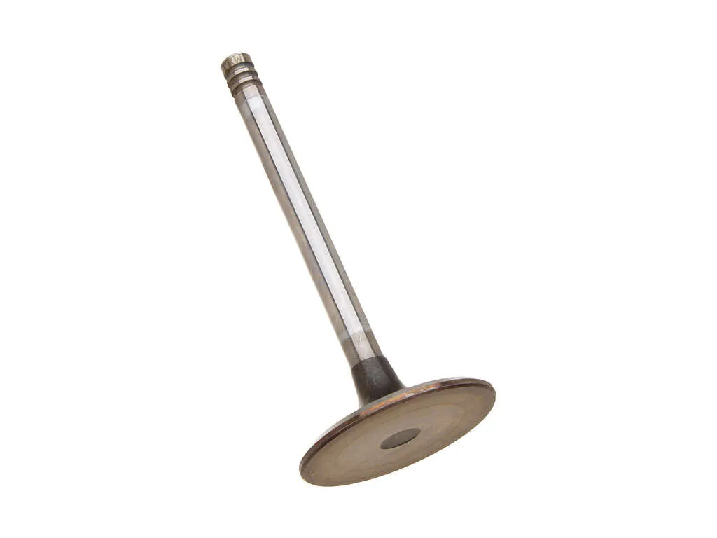 1976, 1975, 1974, 1973, 1972 BMW 2002 Engine Intake Valve